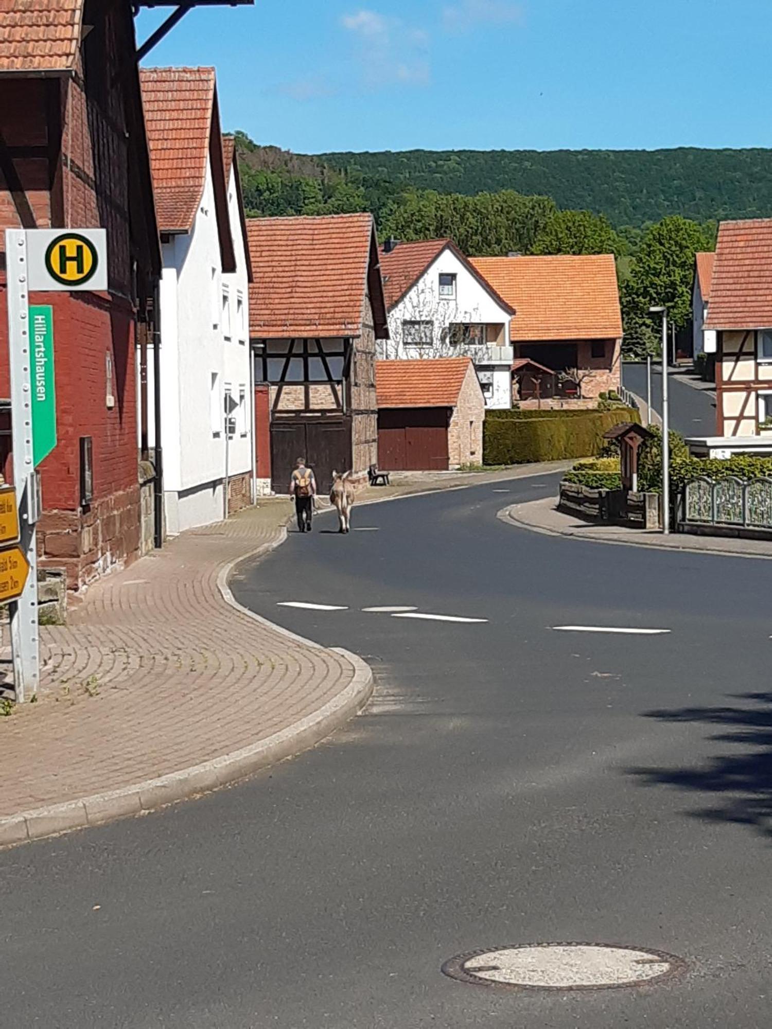Ferienwohnung, 30 Qm Friedewald (Hessen) Exterior foto