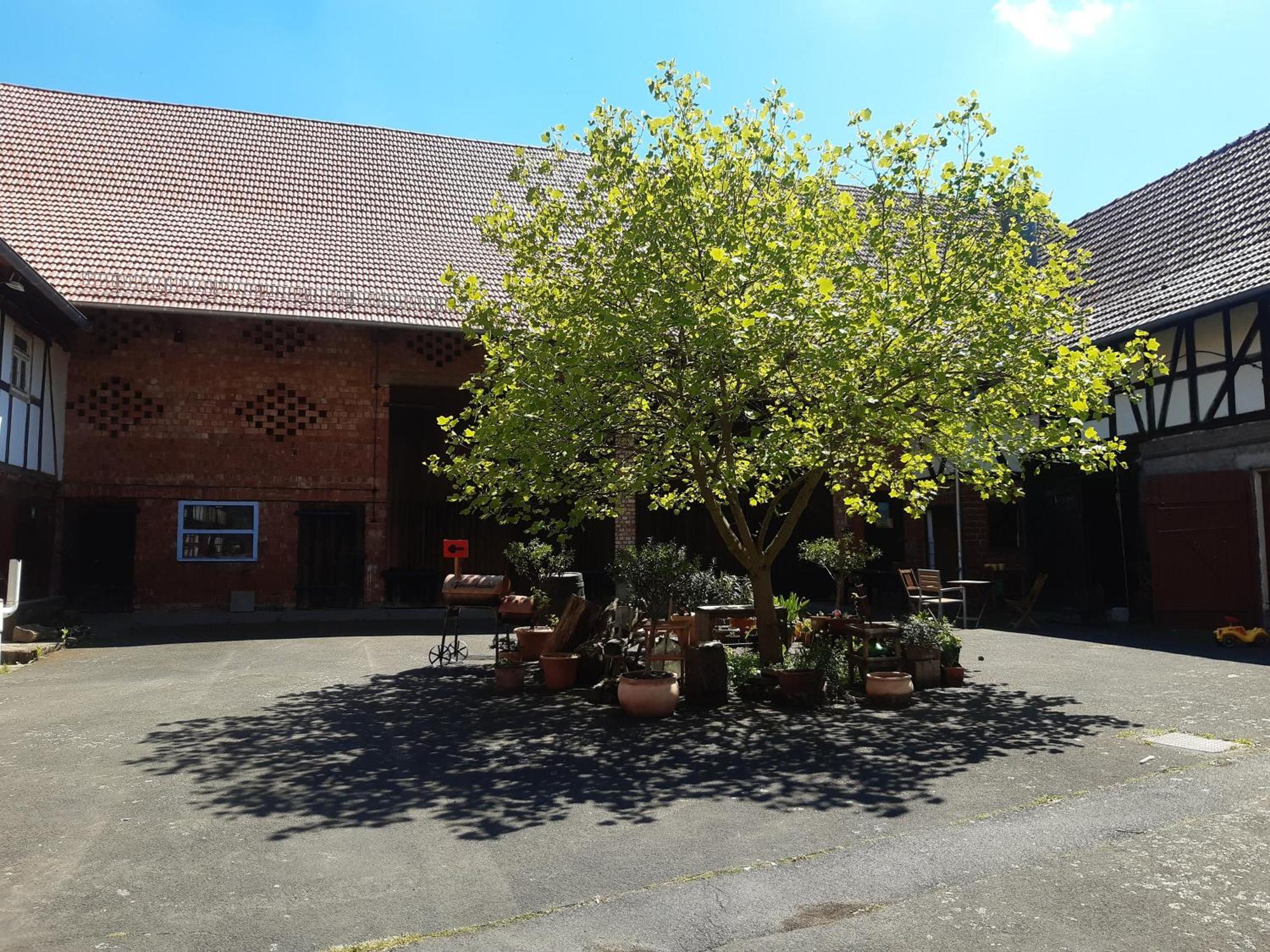 Ferienwohnung, 30 Qm Friedewald (Hessen) Exterior foto